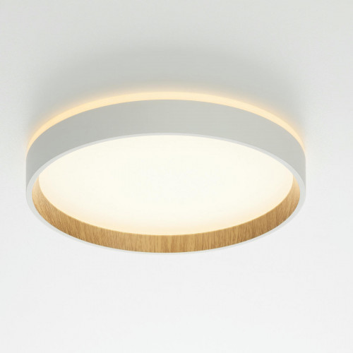 Citilux ETALON CL750240 LED Светильник с подсветкой Белый+Бук