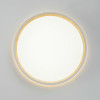 Citilux ETALON CL750240 LED Светильник с подсветкой Белый+Бук