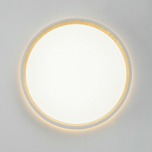 Citilux ETALON CL750240 LED Светильник с подсветкой Белый+Бук