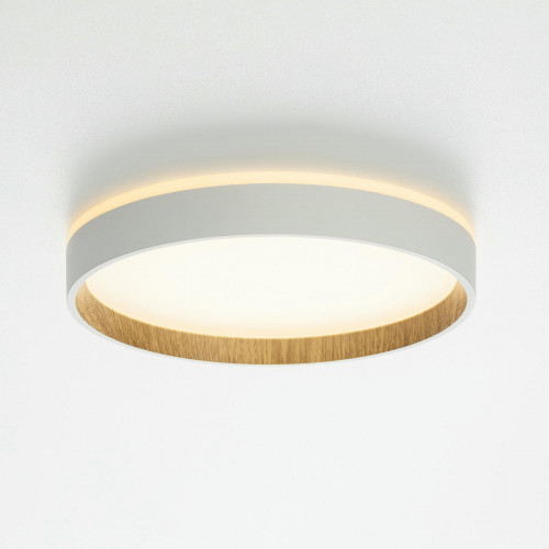 Citilux ETALON CL750240 LED Светильник с подсветкой Белый+Бук