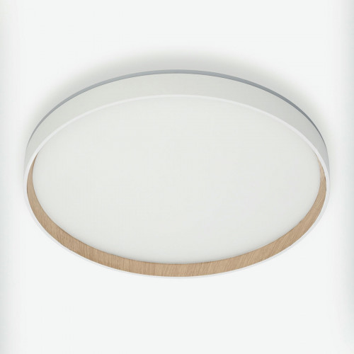 Citilux ETALON CL750400R LED RGB Светильник с пультом Белый+Бук
