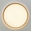 Citilux ETALON CL750320R LED RGB Светильник с пультом Белый+Бук