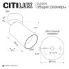 Citilux AXEL CL512212 Накладной поворотный светильник Латунь
