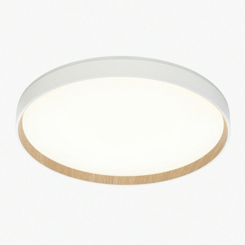 Citilux ETALON CL750400R LED RGB Светильник с пультом Белый+Бук