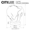 Citilux ROCKA CL247087 Настольная лампа Дымчатая