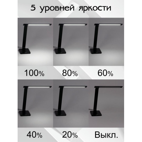 Citilux Ньютон CL803081 Настольный светильник с диммером Чёрный