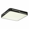Citilux Купер Лайн CL724K70GL1 LED RGB Светильник с пультом Чёрный