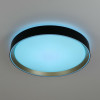 Citilux BOSS CL751351G LED RGB Светильник с пультом Чёрный с Золотом
