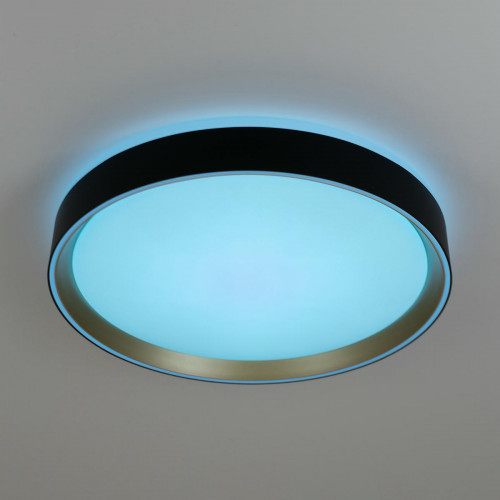 Citilux BOSS CL751351G LED RGB Светильник с пультом Чёрный с Золотом