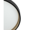 Citilux ENZO CL753451G LED RGB Светильник с пультом Черный + Золото