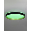 Citilux ENZO CL753451G LED RGB Светильник с пультом Черный + Золото