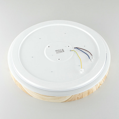 Citilux ENZO CL753452G LED RGB Светильник с пультом Клён