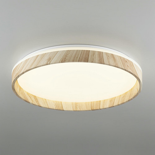 Citilux ENZO CL753452G LED RGB Светильник с пультом Клён
