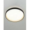 Citilux ENZO CL753451G LED RGB Светильник с пультом Черный + Золото