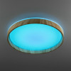 Citilux ENZO CL753452G LED RGB Светильник с пультом Клён
