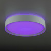 Citilux BOSS CL751250G LED RGB Светильник с пультом Белый