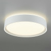 Citilux BOSS CL751250G LED RGB Светильник с пультом Белый