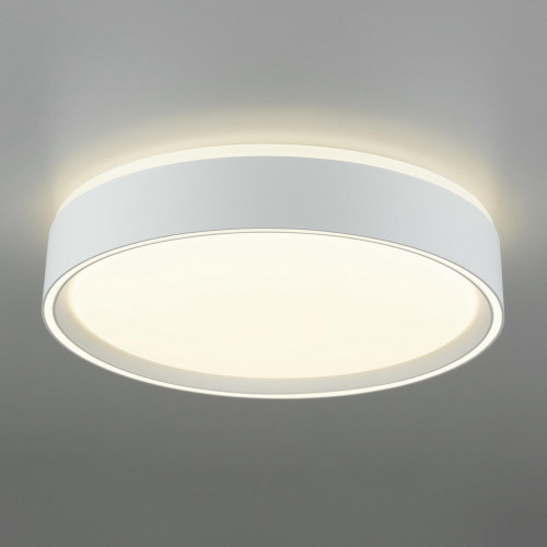 Citilux BOSS CL751250G LED RGB Светильник с пультом Белый