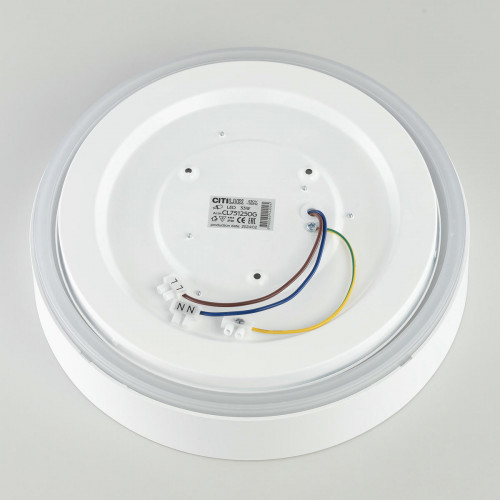 Citilux BOSS CL751250G LED RGB Светильник с пультом Белый