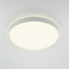 Citilux BOSS CL751450G LED RGB Светильник с пультом Белый