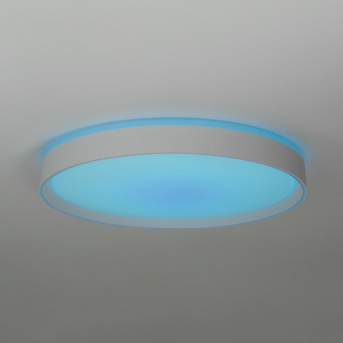 Citilux BOSS CL751450G LED RGB Светильник с пультом Белый