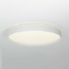 Citilux BOSS CL751450G LED RGB Светильник с пультом Белый