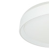 Citilux BOSS CL751450G LED RGB Светильник с пультом Белый