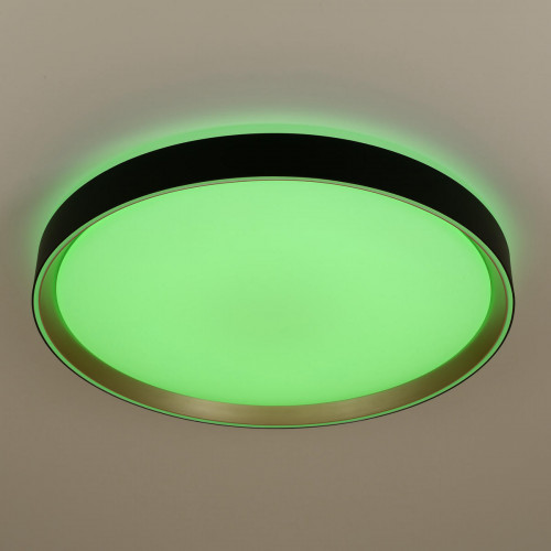 Citilux BOSS CL751451G LED RGB Светильник с пультом Чёрный с Золотом