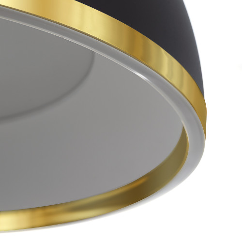 Citilux FLOOM CL736251 Светильник подвесной с пультом Чёрный+Золото