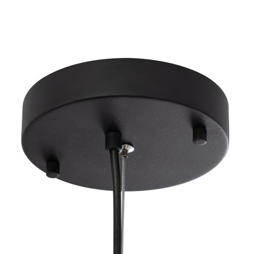 Citilux FLOOM CL736251 Светильник подвесной с пультом Чёрный+Золото