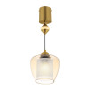 Citilux NORT CL475021 Подвесной светильник