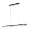 Citilux FANNY CL213121 LED Подвесной светильник с пультом