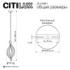 Citilux VIND CL214011 Подвесной светодиодный светильник