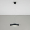 Citilux Тао CL712S242N LED Подвесной светильник с диммером