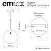 Citilux ORTON CL202022 Подвесной светильник Шампань