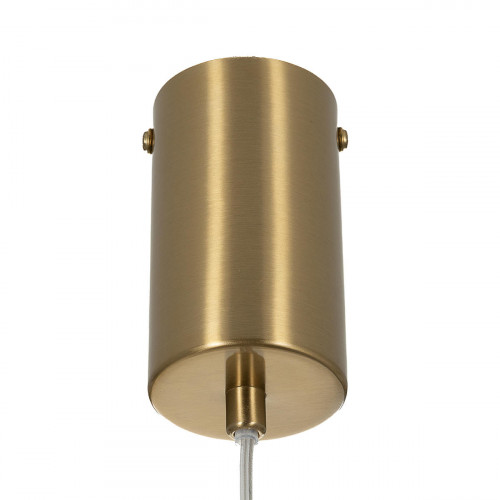 Citilux FERNET CL254010 Подвесной светильник