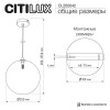 Citilux ORTON CL202042 Подвесной светильник Шампань