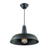 Citilux Эдисон CL450204 Подвесной светильник Чёрный