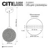 Citilux CLOUDY CL323012 Подвесной хрустальный светильник
