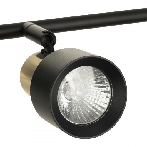Citilux SAT CL505641 Спот поворотный с выключателем Чёрный+Золото