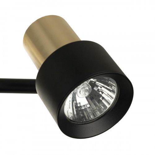 Citilux SAT CL505641 Спот поворотный с выключателем Чёрный+Золото