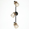 Citilux Смит CL530535 Спот с выключателем Чёрный
