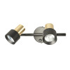 Citilux SAT CL505621 Спот поворотный с выключателем Чёрный+Золото