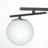 Citilux DORSY CL223152 LED Люстра поворотная Чёрная