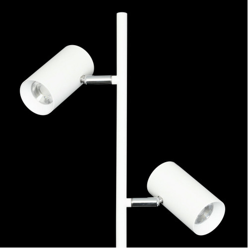 Citilux Twin CL809010N Торшер светодиодный Белый