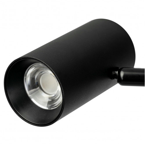 Citilux Twin CL809011N Торшер светодиодный Чёрный