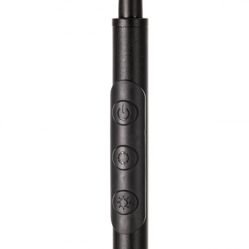 Citilux Alex CL804051 Торшер с пультом Чёрный