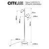 Citilux Twin CL809011N Торшер светодиодный Чёрный
