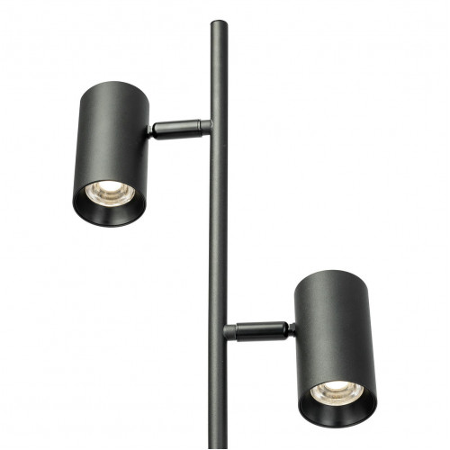 Citilux Twin CL809011N Торшер светодиодный Чёрный