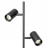 Citilux Twin CL809011N Торшер светодиодный Чёрный